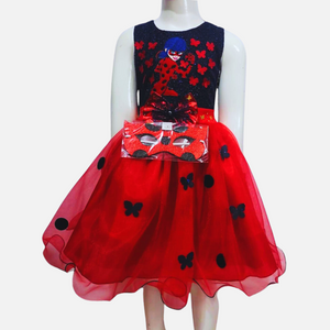 Vestido Ladybug Bordado con Diadema